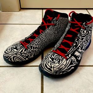 Nike Jordan Mens high tops 10.5